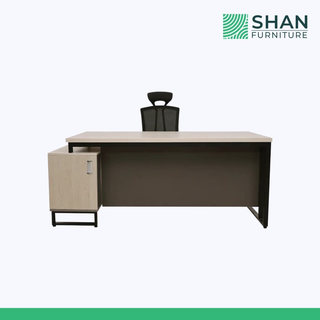 Executive Desk with Matching File Cabinet