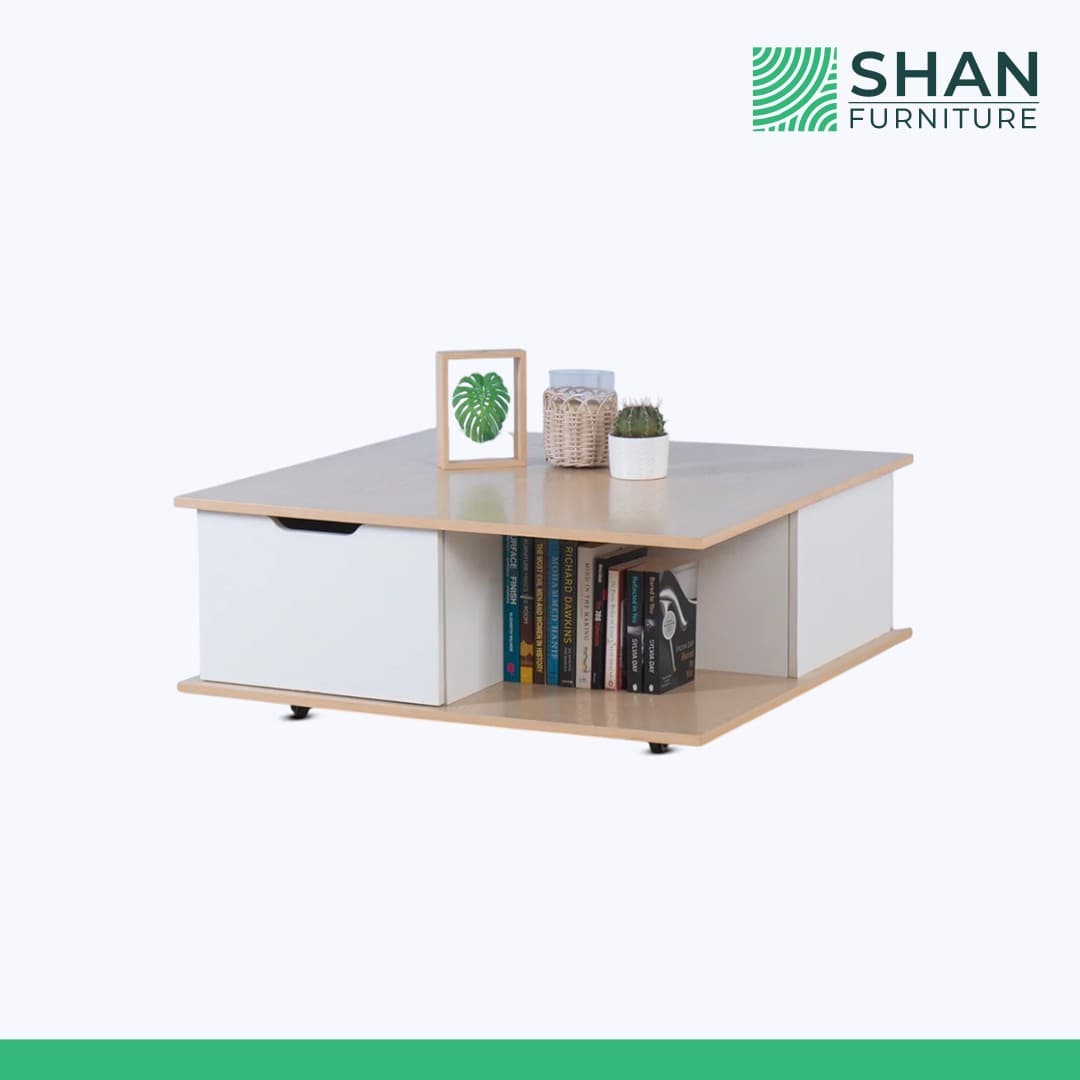 Mobile Storage Coffee Table with Two Drawers